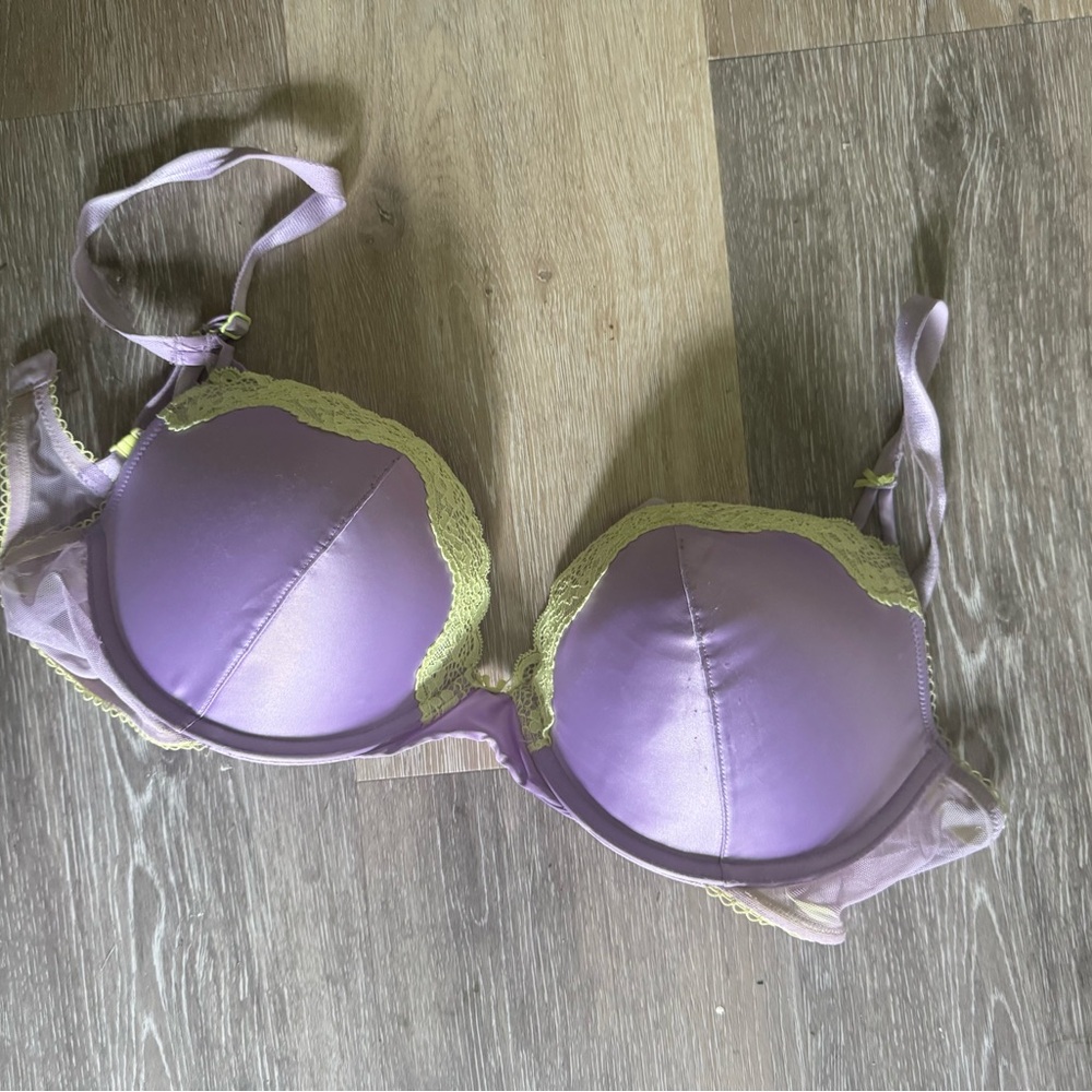 Love Tease Lavender and Lime Lace Bra